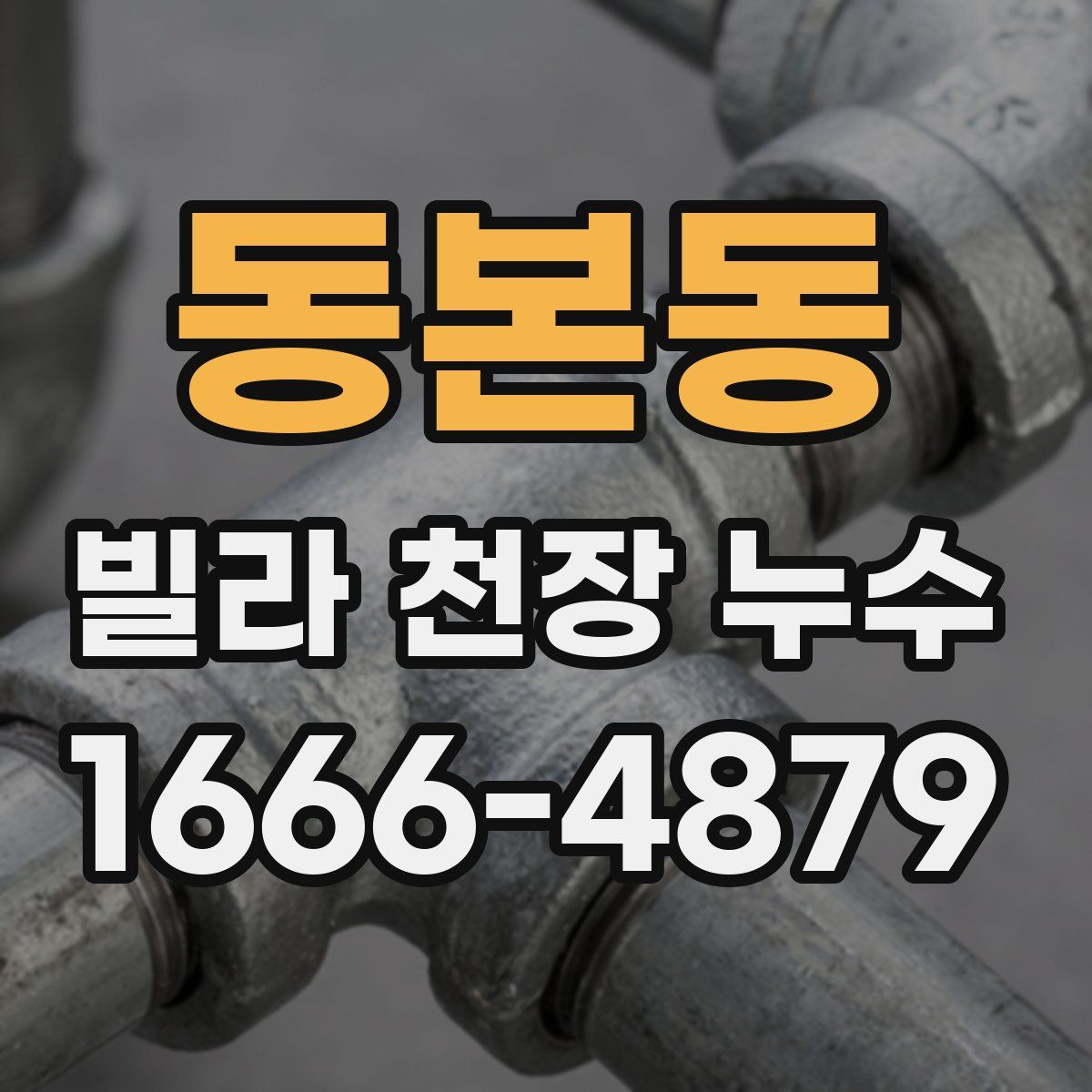동본동 빌라 천장 누수