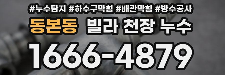 동본동 빌라 천장 누수