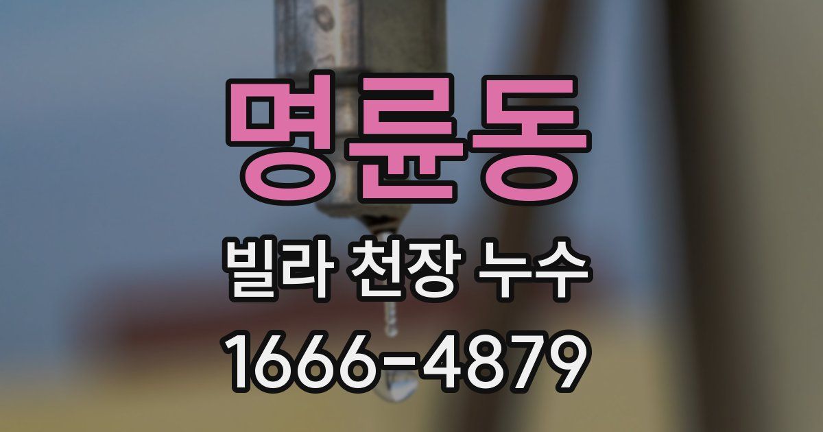 명륜동 빌라 천장 누수
