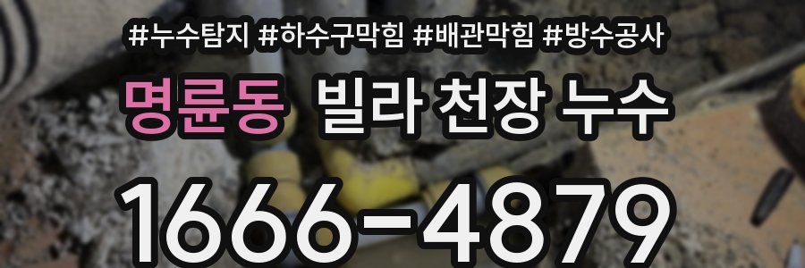 명륜동 빌라 천장 누수