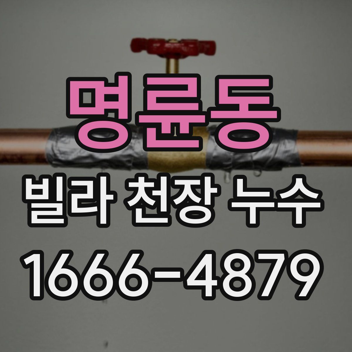 명륜동 빌라 천장 누수