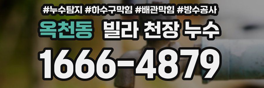 옥천동 빌라 천장 누수