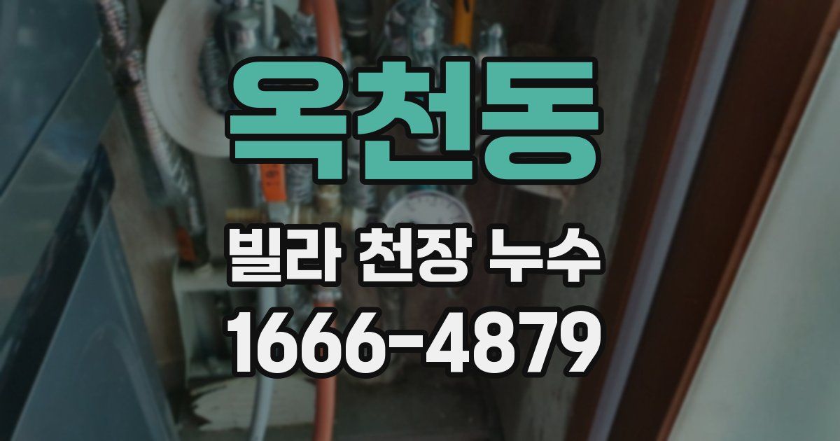 옥천동 빌라 천장 누수