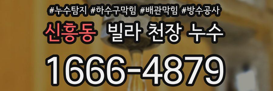 신흥동 빌라 천장 누수