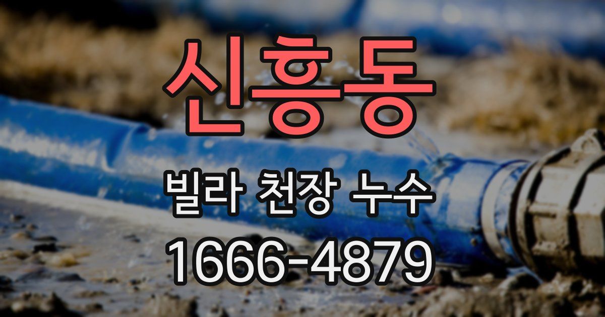 신흥동 빌라 천장 누수