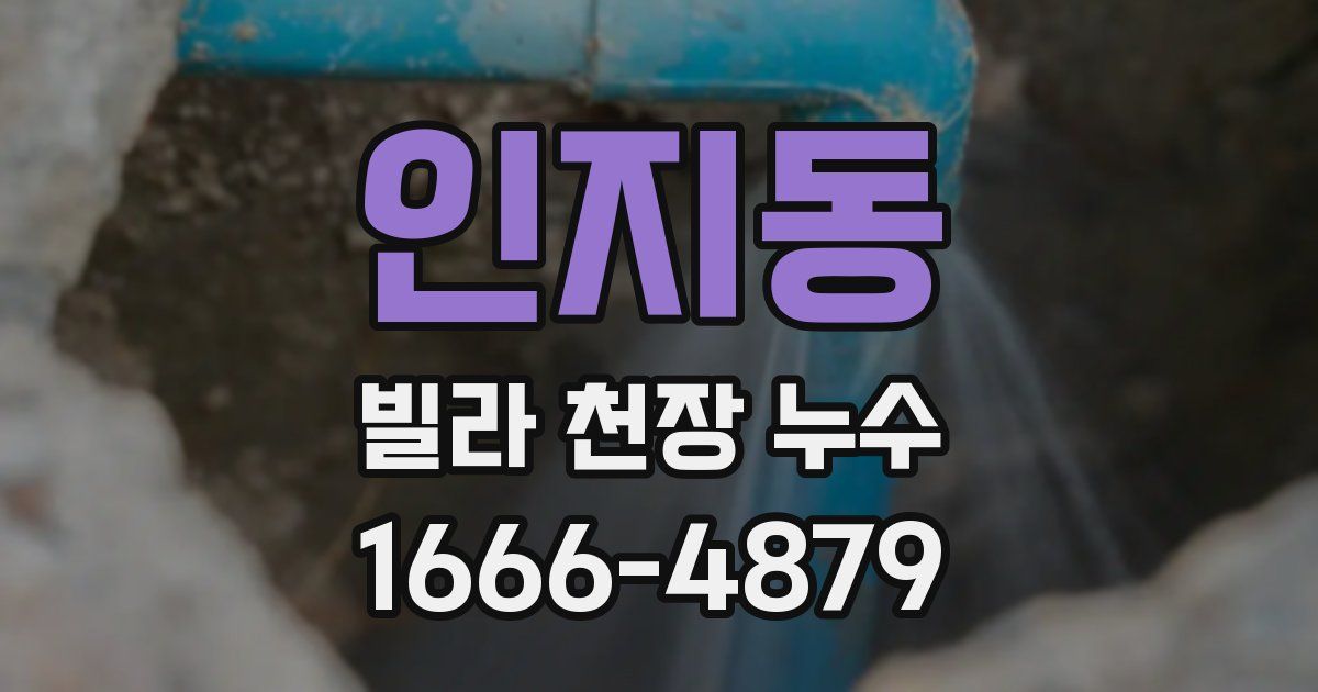 인지동 빌라 천장 누수