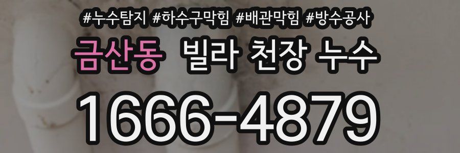 금산동 빌라 천장 누수