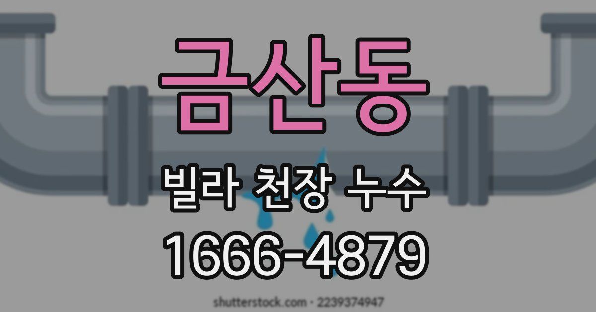 금산동 빌라 천장 누수