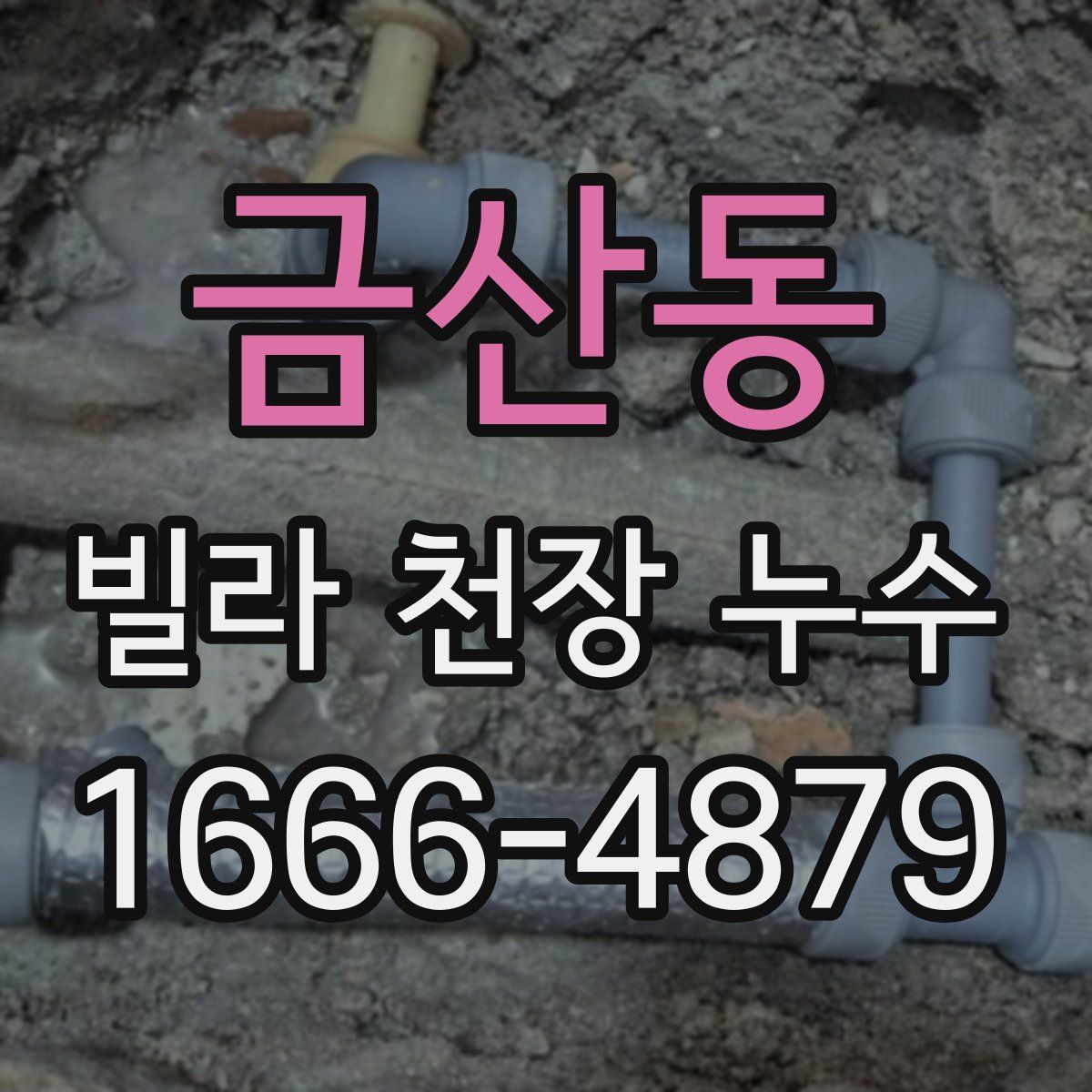 금산동 빌라 천장 누수
