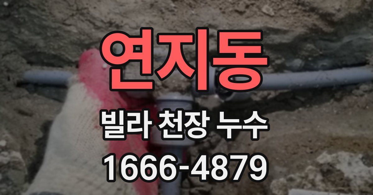 연지동 빌라 천장 누수