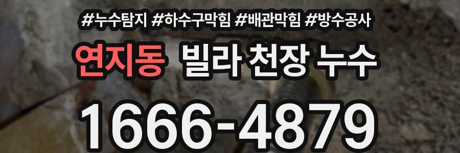 연지동 빌라 천장 누수