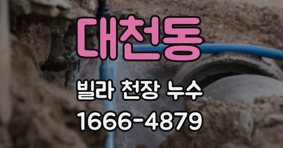 대천동 빌라 천장 누수