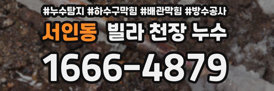 서인동 빌라 천장 누수