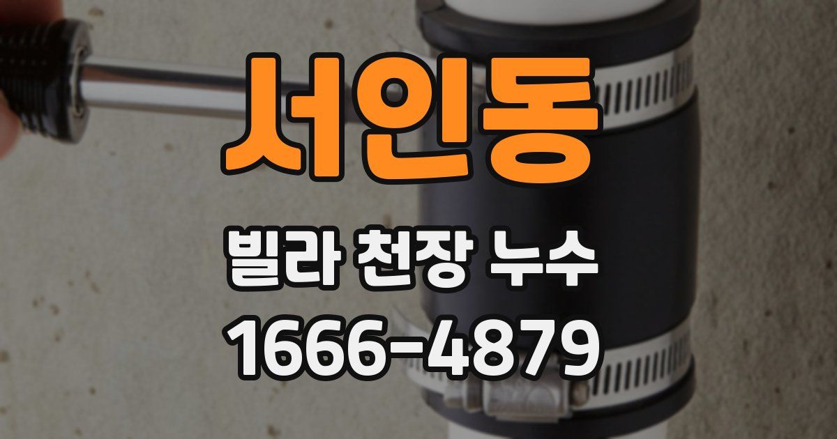 서인동 빌라 천장 누수