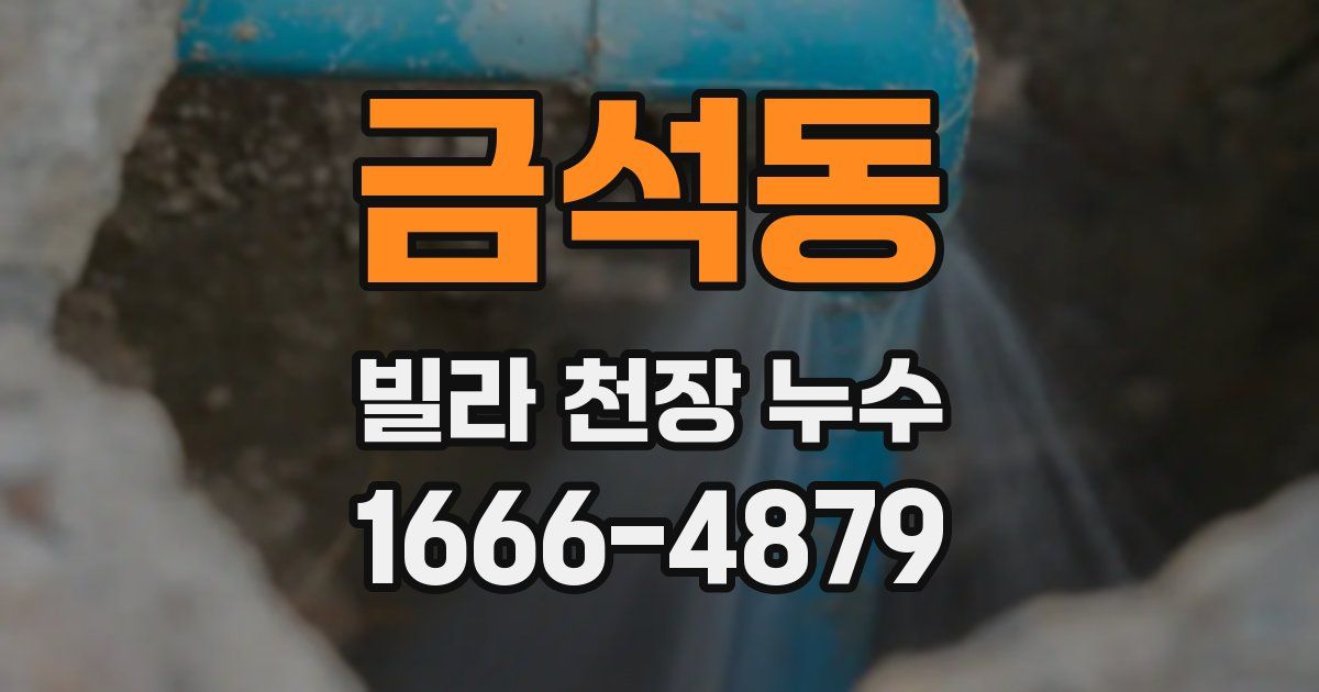 금석동 빌라 천장 누수