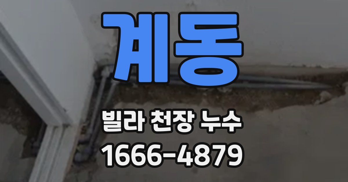 계동 빌라 천장 누수