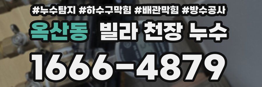옥산동 빌라 천장 누수