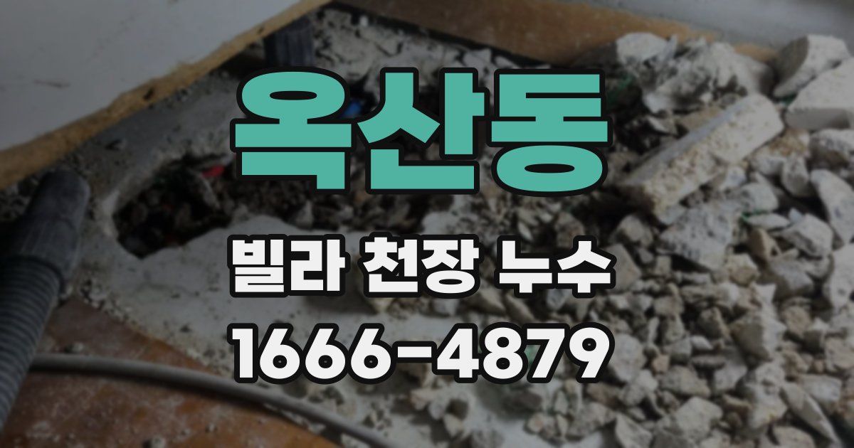 옥산동 빌라 천장 누수