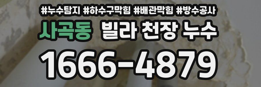사곡동 빌라 천장 누수
