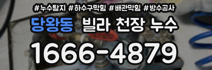 당왕동 빌라 천장 누수