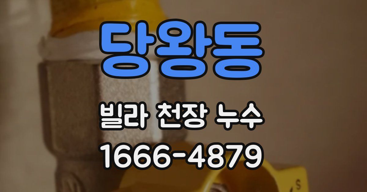 당왕동 빌라 천장 누수