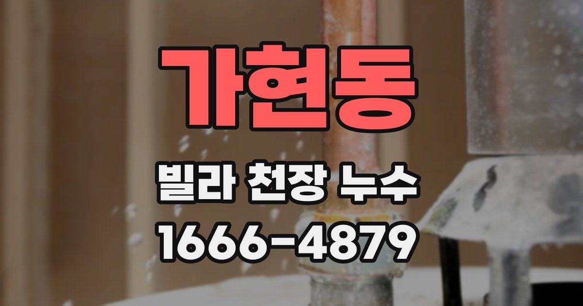 가현동 빌라 천장 누수