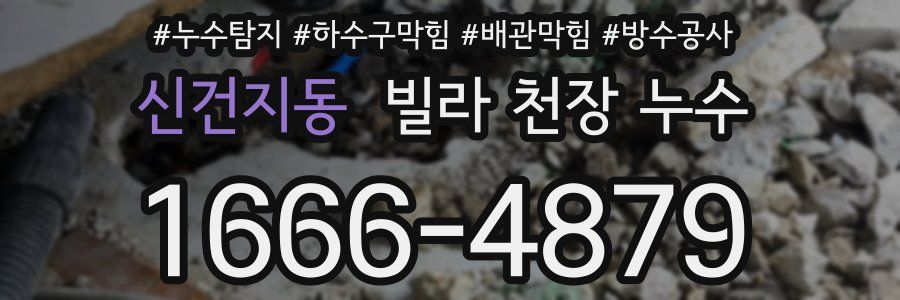 신건지동 빌라 천장 누수