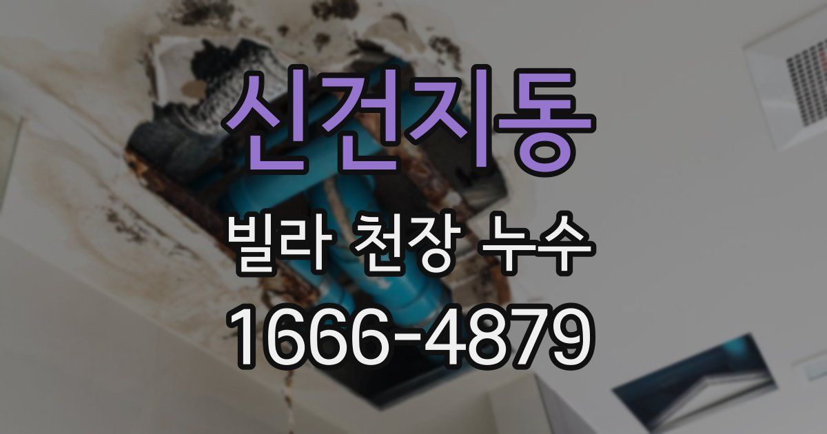 신건지동 빌라 천장 누수