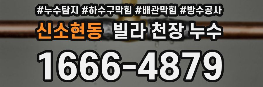 신소현동 빌라 천장 누수