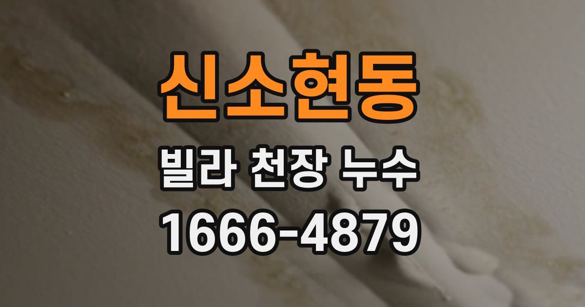 신소현동 빌라 천장 누수