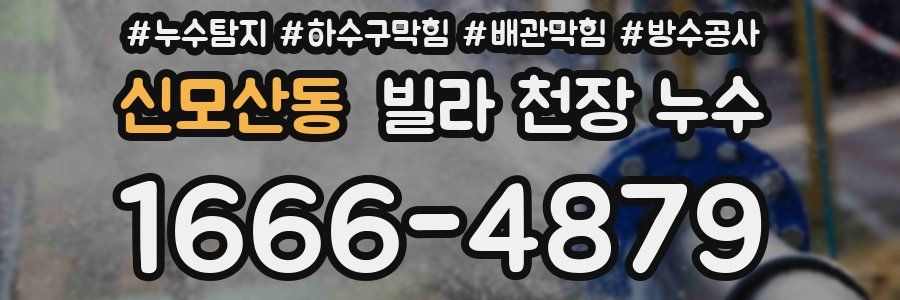 신모산동 빌라 천장 누수