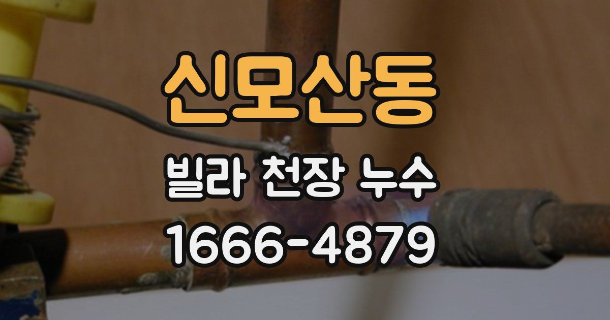 신모산동 빌라 천장 누수