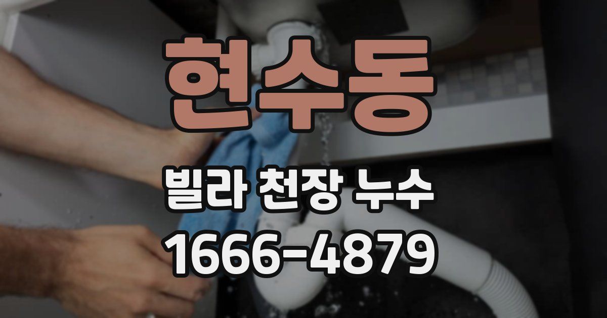 현수동 빌라 천장 누수