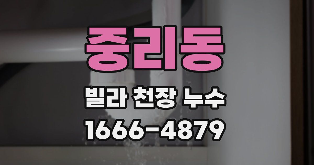 중리동 빌라 천장 누수