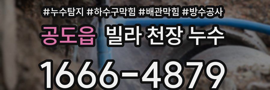 공도읍 빌라 천장 누수