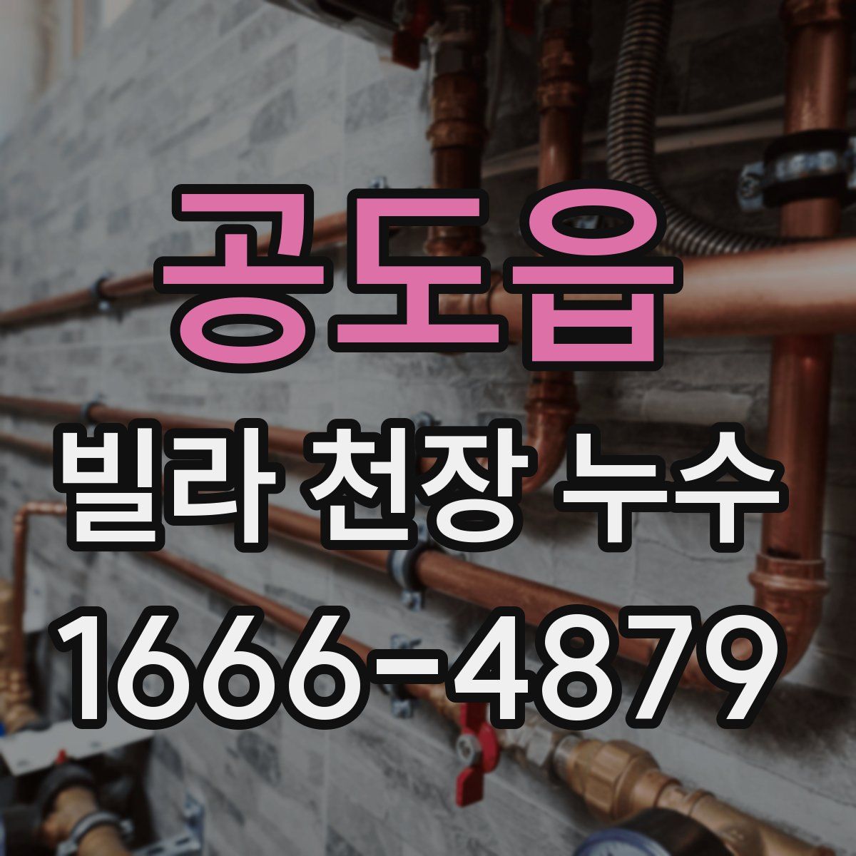 공도읍 빌라 천장 누수