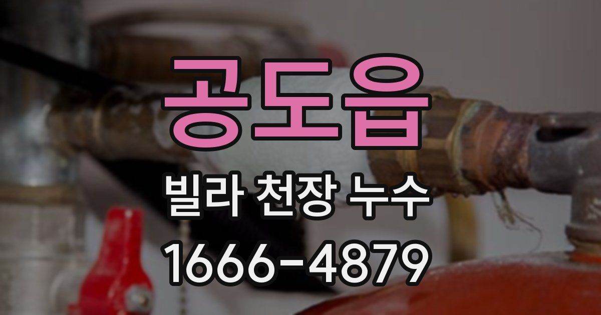 공도읍 빌라 천장 누수