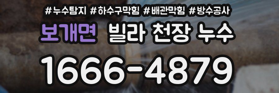 보개면 빌라 천장 누수