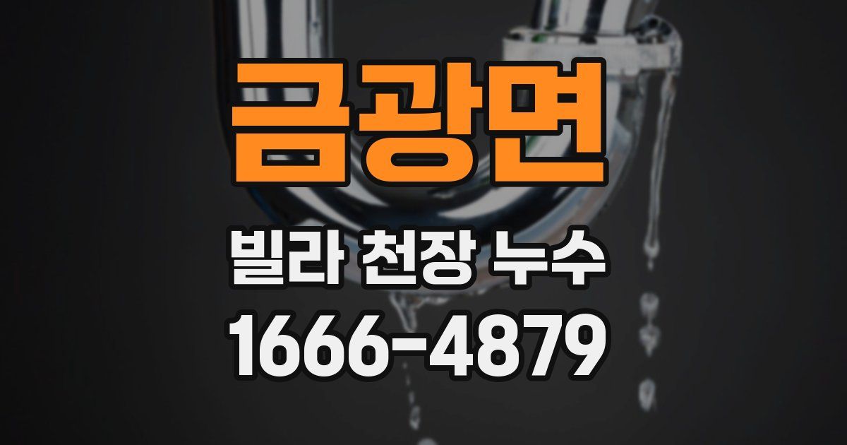 금광면 빌라 천장 누수