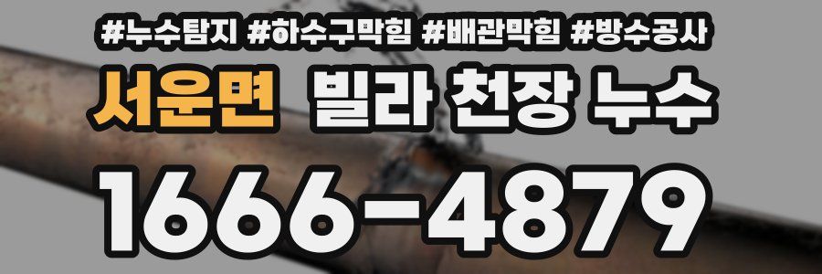 서운면 빌라 천장 누수
