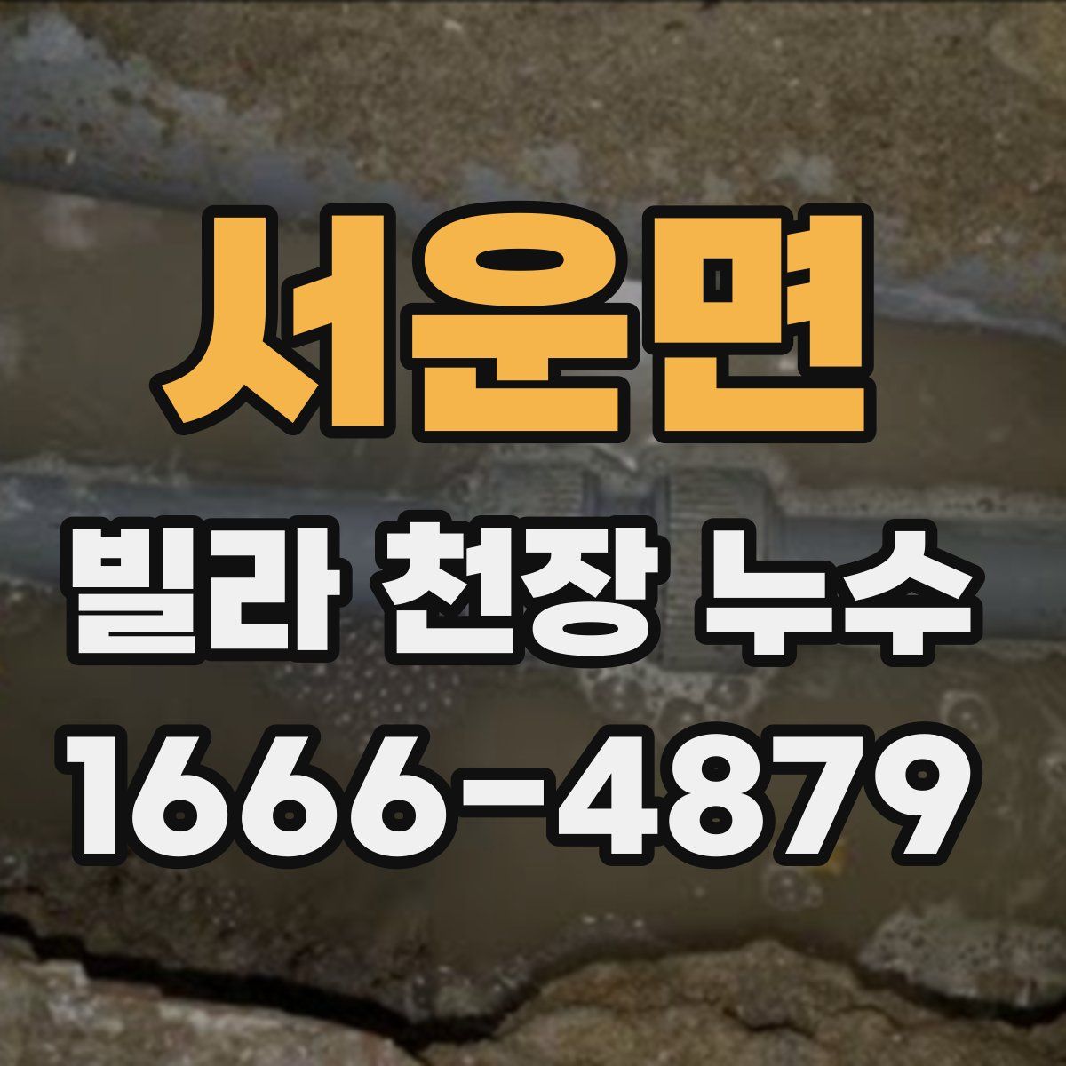 서운면 빌라 천장 누수