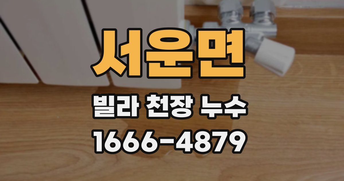 서운면 빌라 천장 누수
