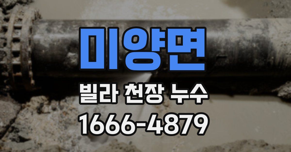 미양면 빌라 천장 누수