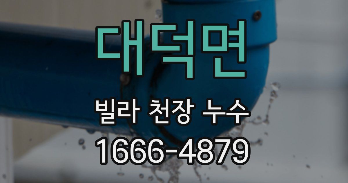 대덕면 빌라 천장 누수
