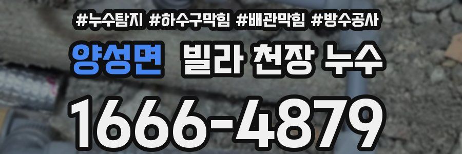 양성면 빌라 천장 누수