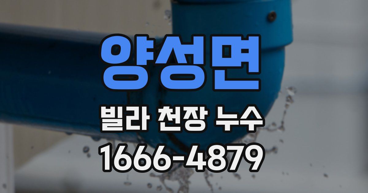 양성면 빌라 천장 누수