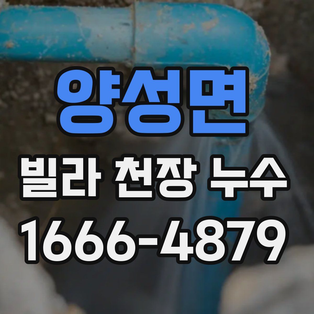 양성면 빌라 천장 누수