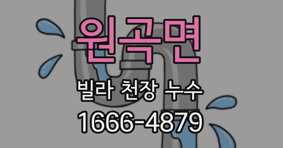 원곡면 빌라 천장 누수