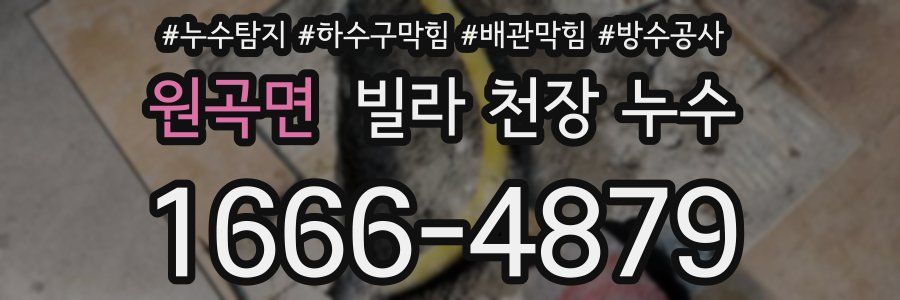 원곡면 빌라 천장 누수