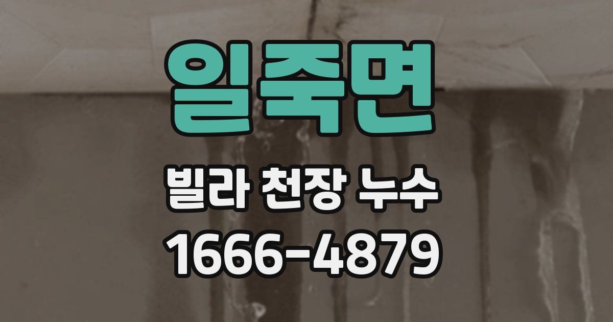 일죽면 빌라 천장 누수